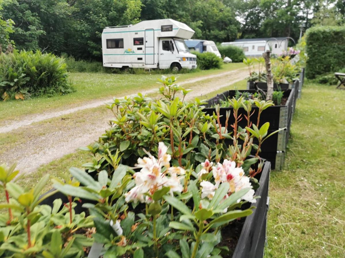 Frederiksvaerk Camping & Hostel 外观 照片
