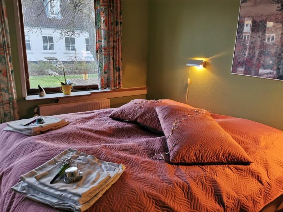 Frederiksvaerk Camping & Hostel 外观 照片