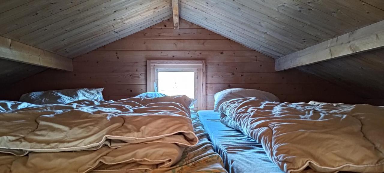 Frederiksvaerk Camping & Hostel 外观 照片