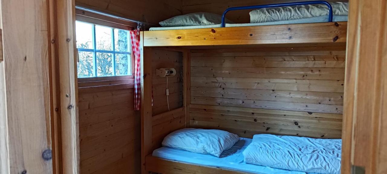 Frederiksvaerk Camping & Hostel 外观 照片