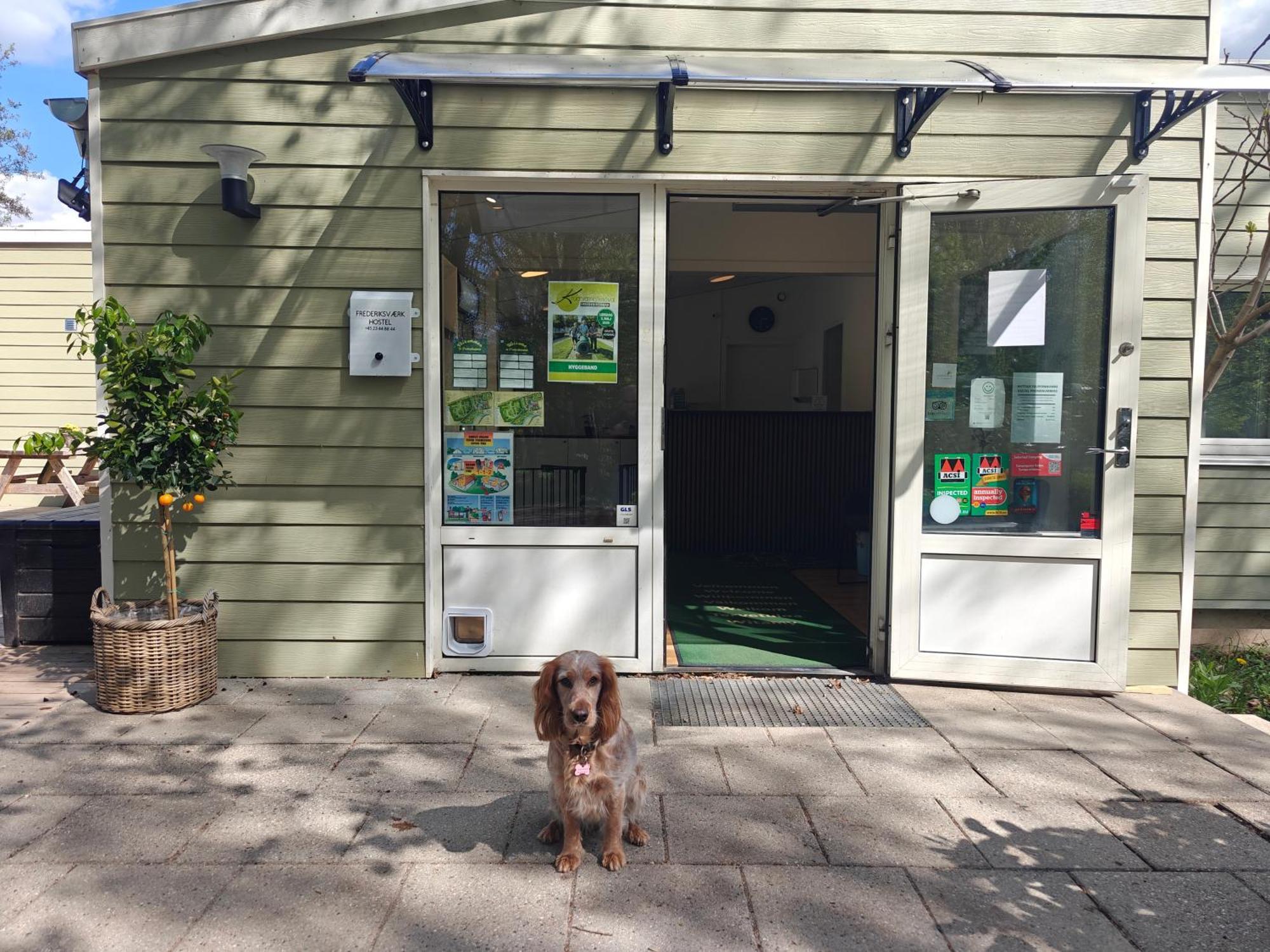 Frederiksvaerk Camping & Hostel 外观 照片