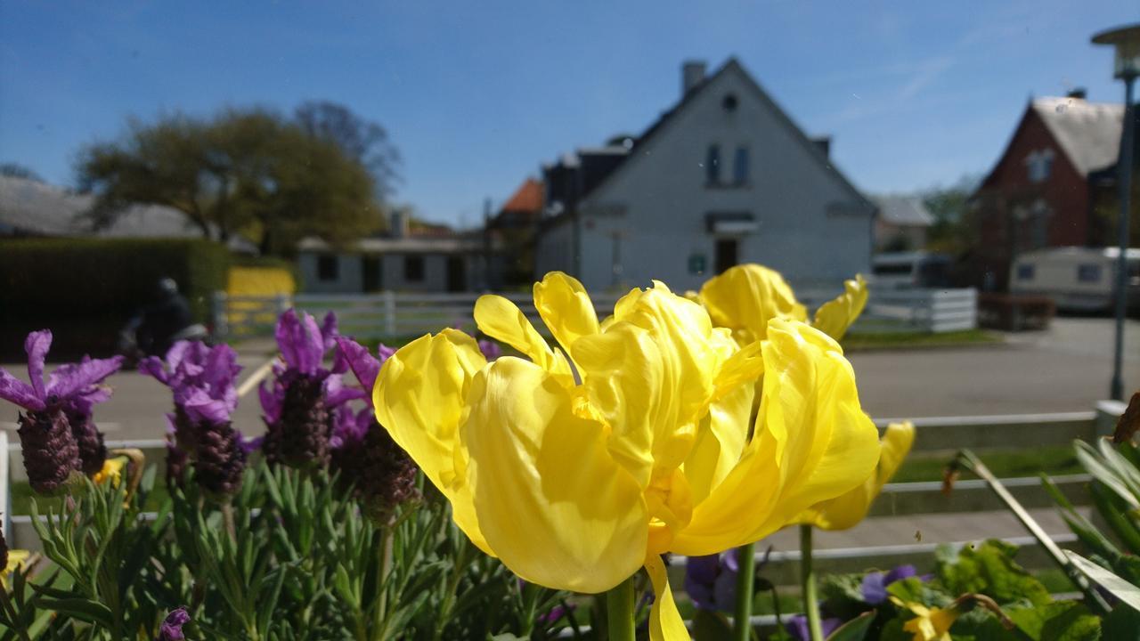Frederiksvaerk Camping & Hostel 外观 照片